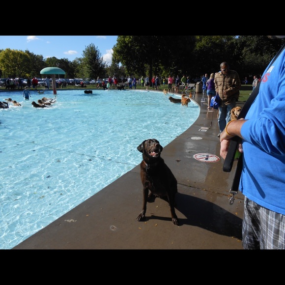 Meet your Posher, Jennifer - Picture 3 of 4